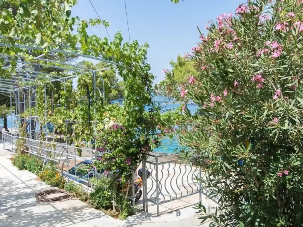 Apartment Villa Rosea