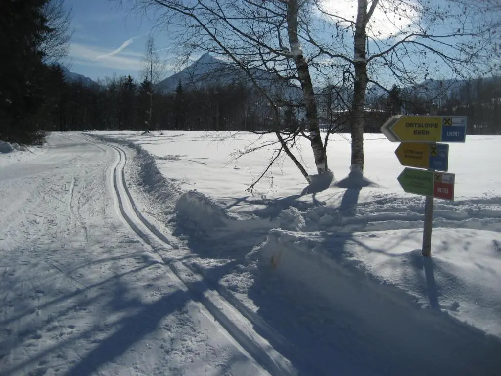 Alpen Chalet Eben