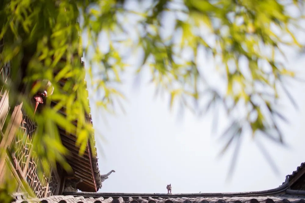 Xilu Xiaoxie Inn