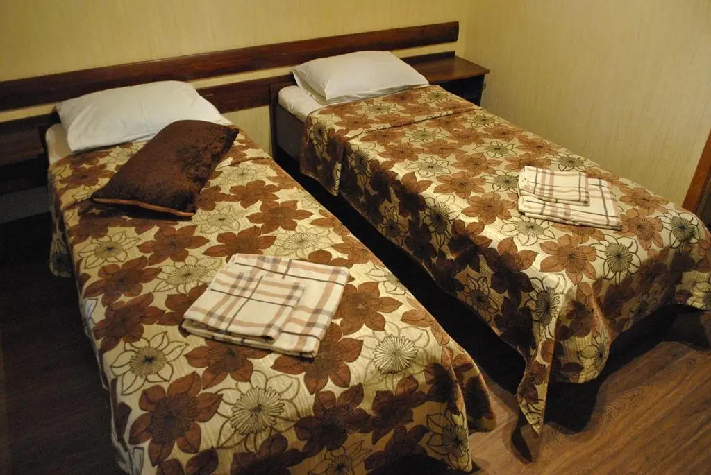 Standard Double room (twin beds)