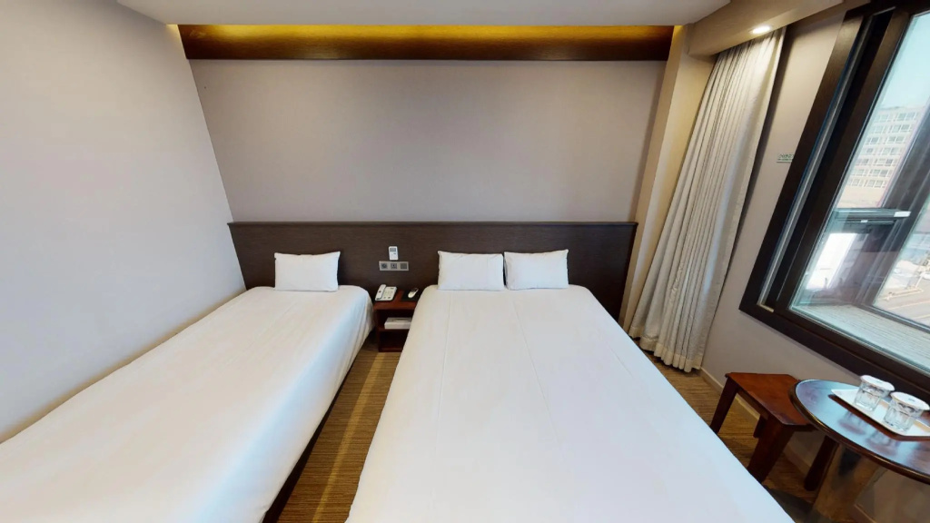 Standard Double room with ocean view (twin beds)
