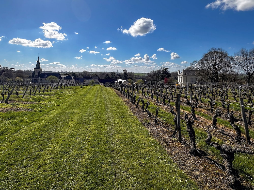 Domaine Beaumont - Vignoble & Maison d'Hôtes Vigneronne