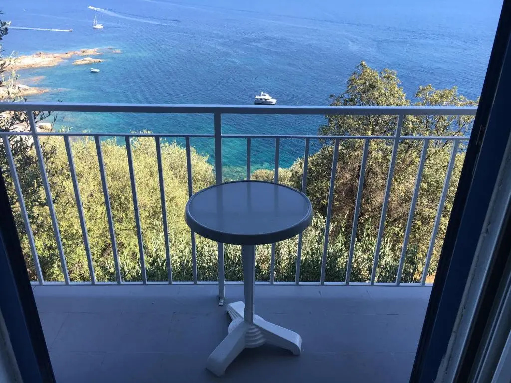 Standard Double room with balcony and with sea view (full double bed)