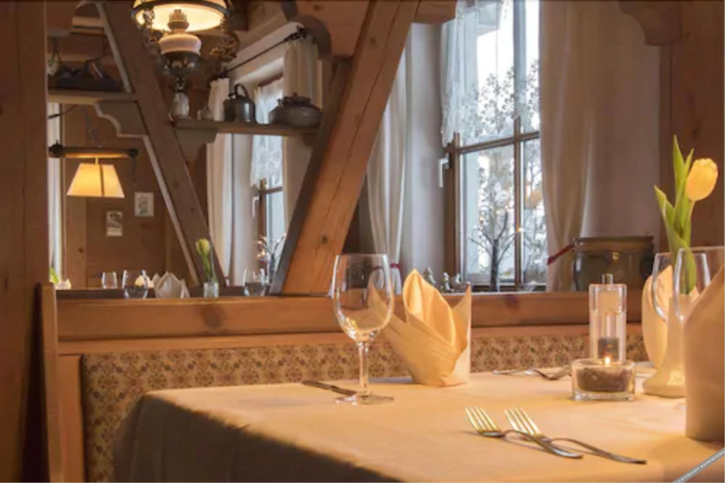 Hotel Höhengasthof Grüner Baum - Général