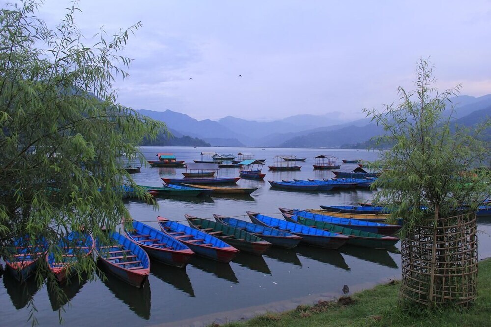 Image 12
