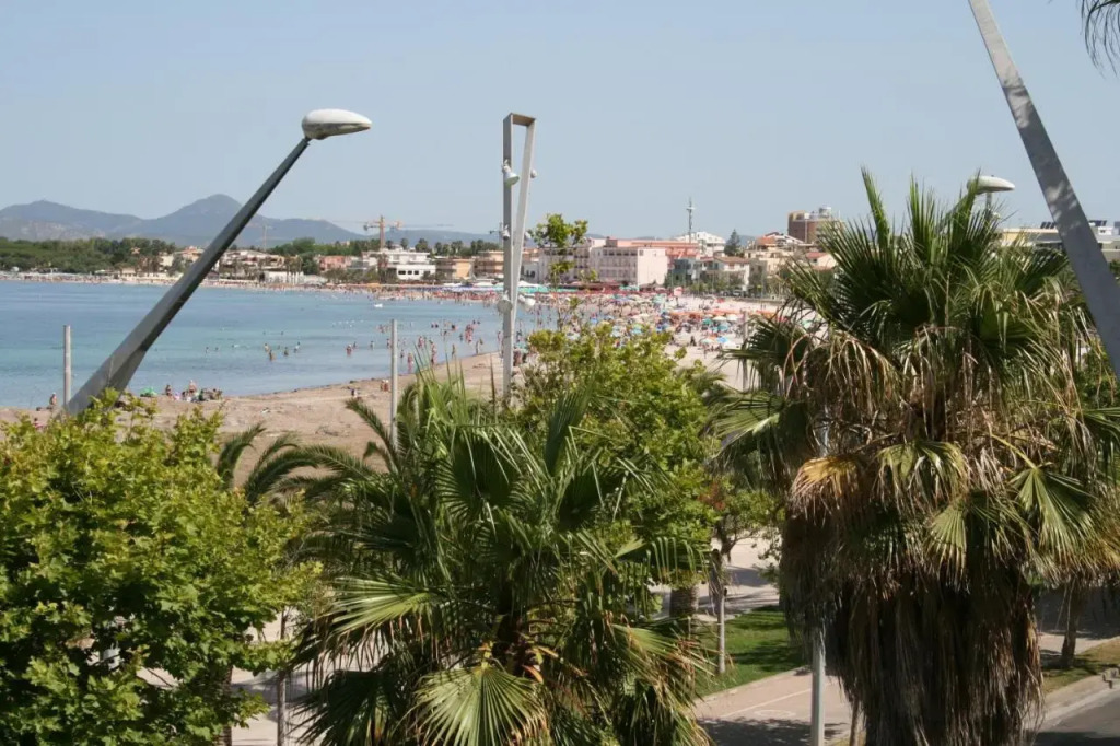 Eliton - фото 10