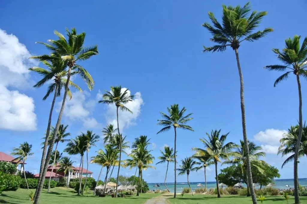 Le Cap Est Lagoon Resort & Spa - Général