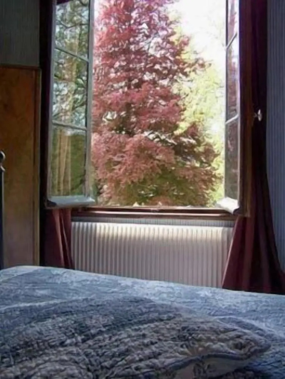 Comfort Double room (full double bed)