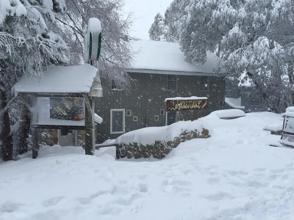 Feathertop Alpine Lodge - Général