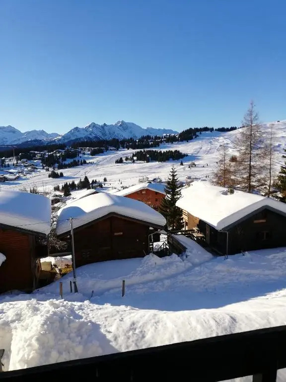 les saisies ;loue a la semaine