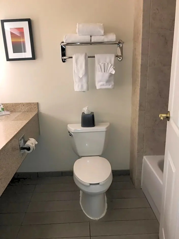 Holiday Inn & Suites Ann Arbor Univ Michigan Area by IHG - Chambres
