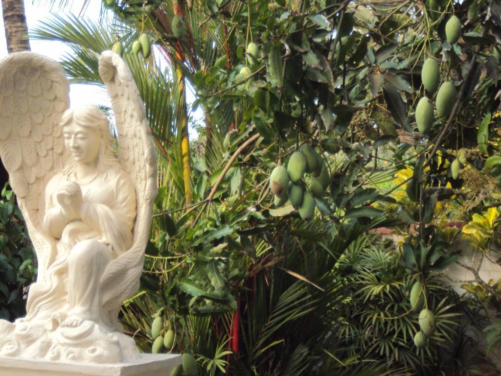 Angel Villa