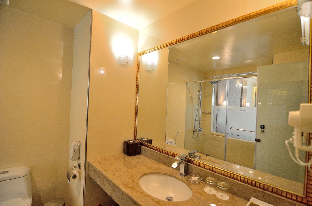 Royal Chiayi Hotel - фото 10