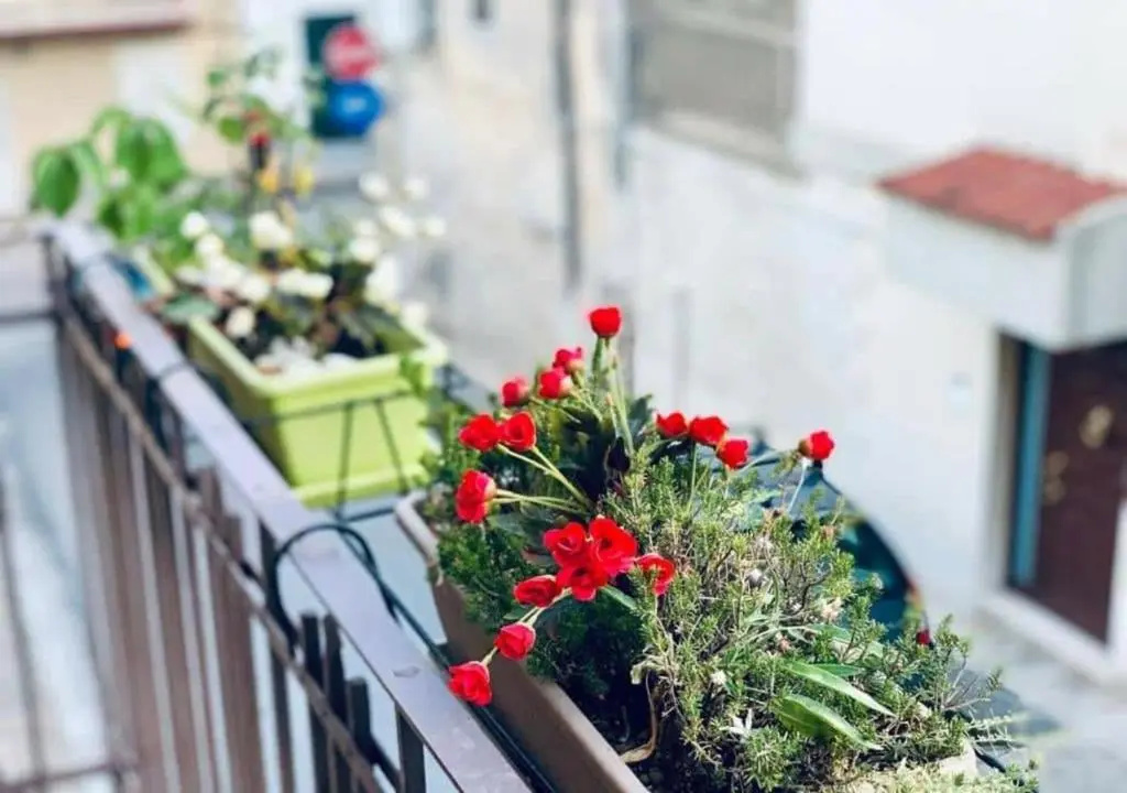 Bed and Breakfast Alberini - Chambres