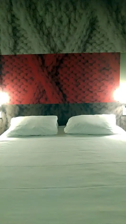 Ibis Chalon Sur Saone Europe - Chambres