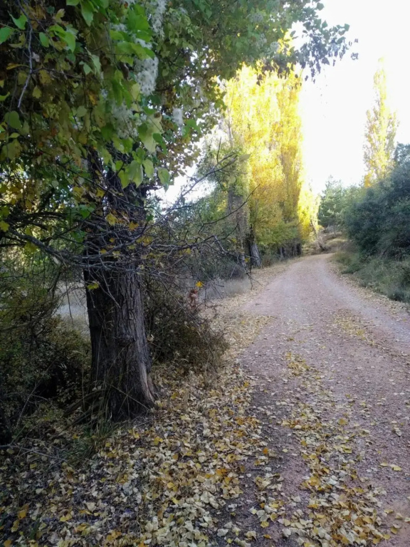 Marqueño Turismo Rural
