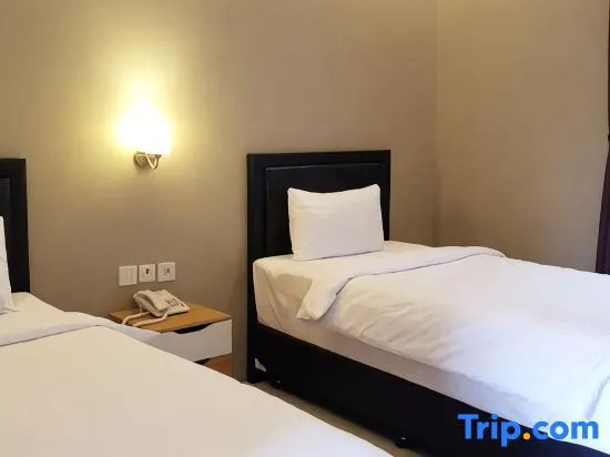 Executive Double room (twin beds)
