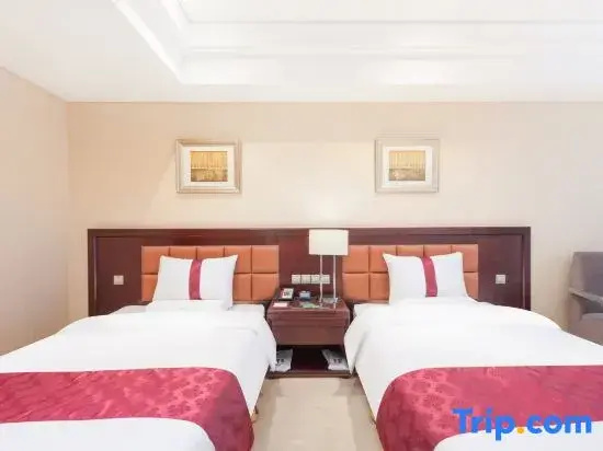 Business Double room (twin beds)