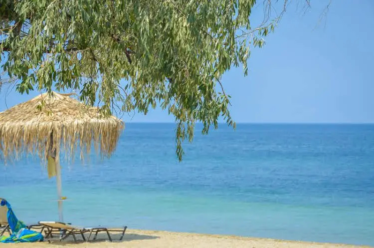 Beach & Waterfront