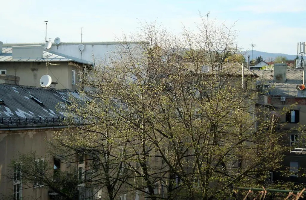 Apartments ABA Zagreb
