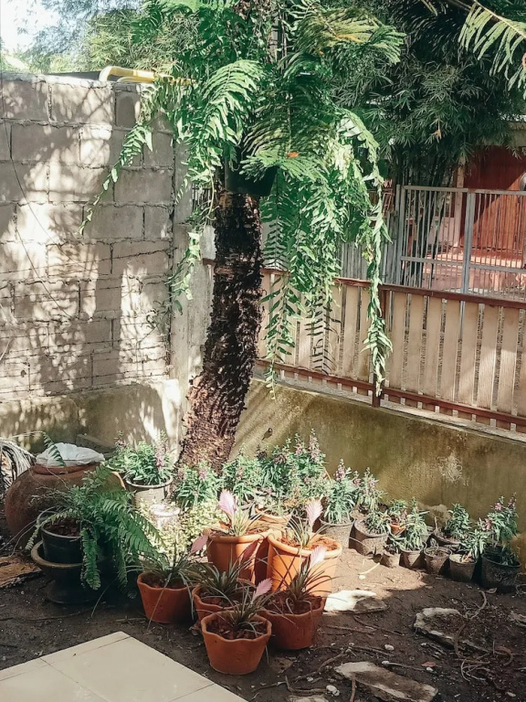 Soap Baker House in Chiangmai
