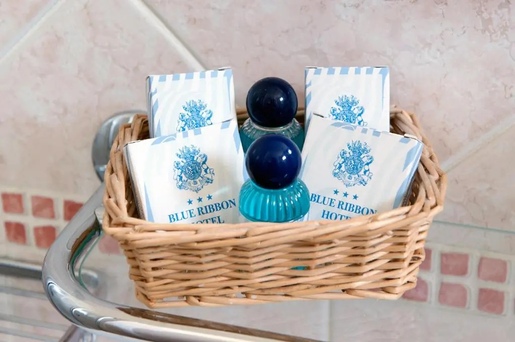 Hotel Blue Ribbon - Chambres