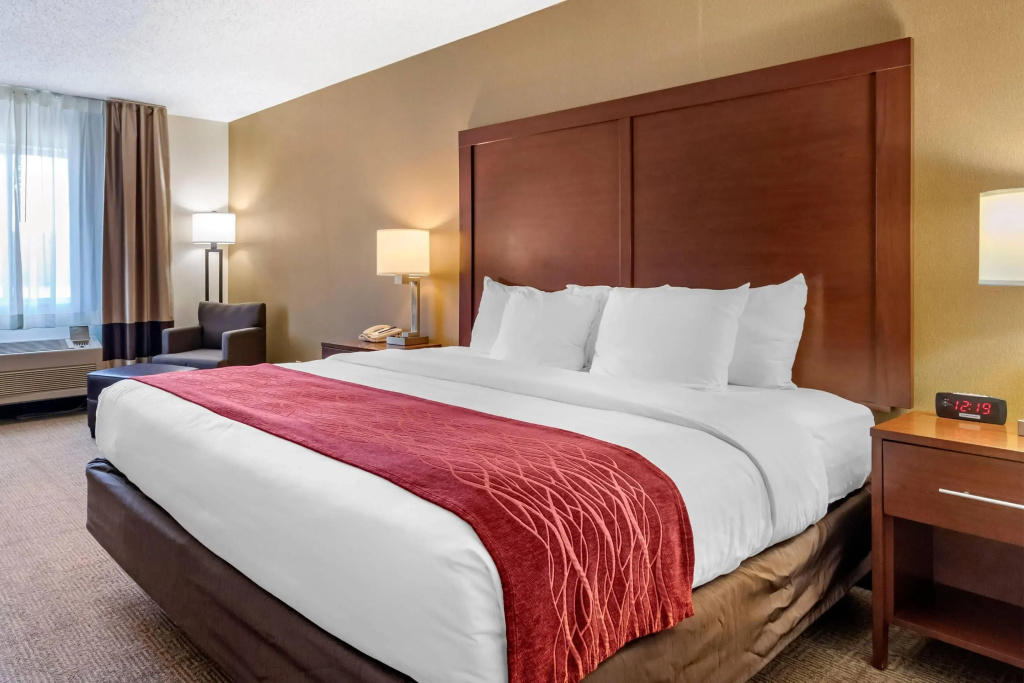 Comfort Inn Great Falls South - Général