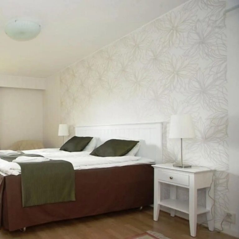 Deluxe Double room (full double bed)