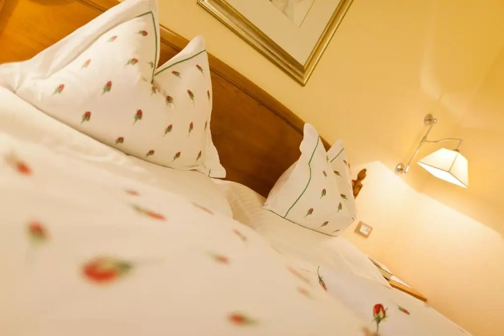 Hotel Aster — 5