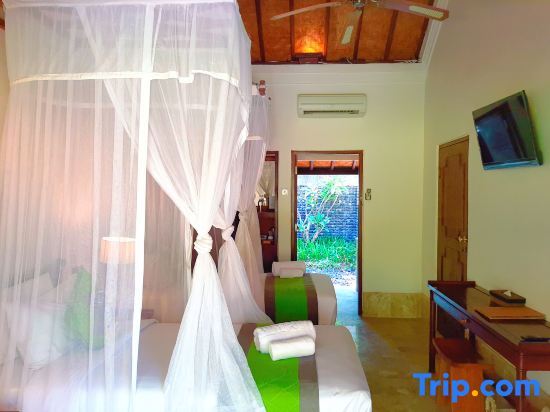 Mimpi Resort Tulamben