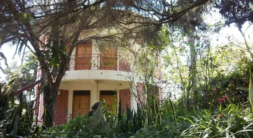 Kilimanjaro Ecolodge - Général