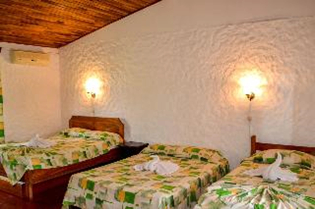 Termales del Bosque & Hot Springs — 5