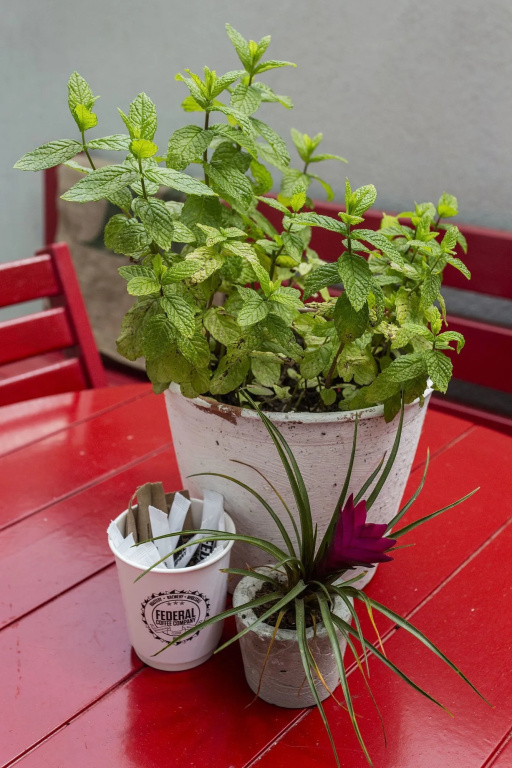 Balcony & Terrace