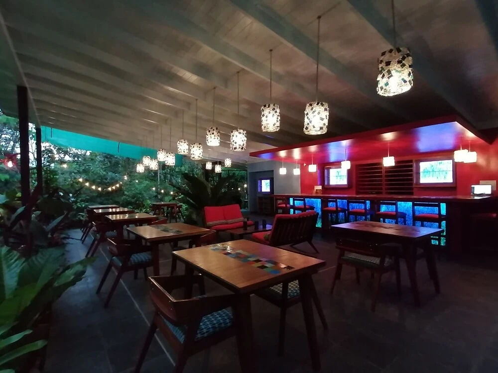 Chirripo Art Hotel - фото 14