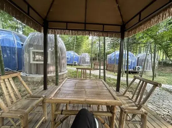 Wild Wind Starry Sky Bubble House Hotel