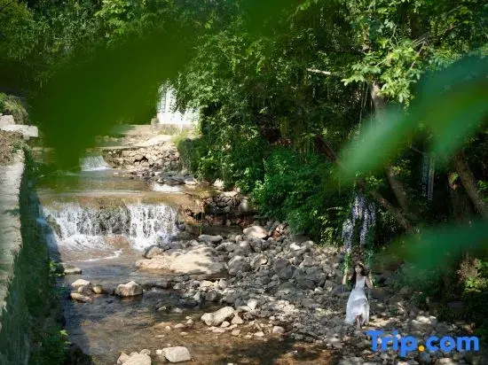 Tonglu Shuli · TREE VILLA · Mountain View Resort Homestay