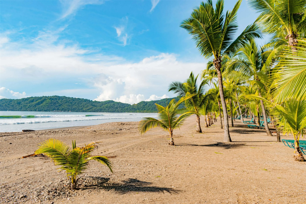 Barceló Tambor - фото 27