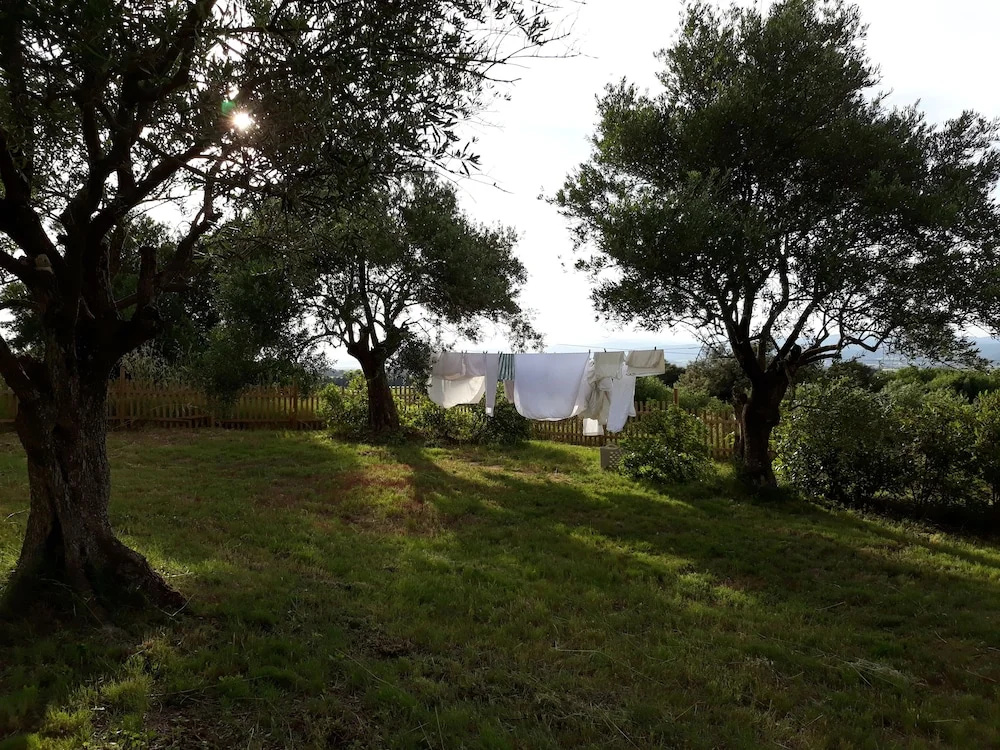 ELAIA location