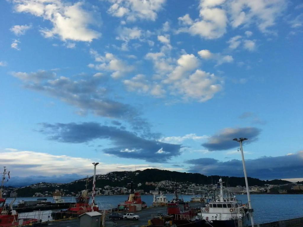 Wellington Central Waterfront Apartment