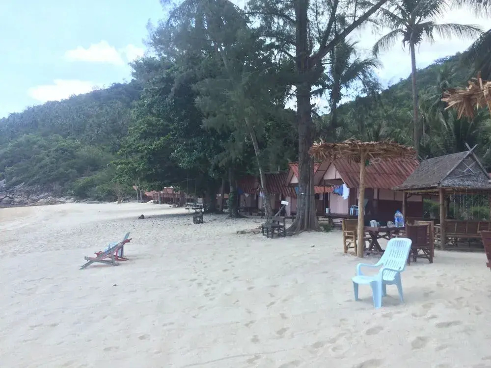 Beach & Waterfront
