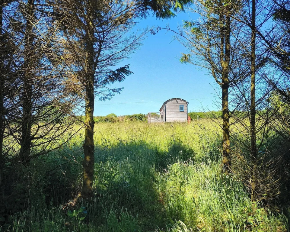 Fir Tree Shepherd's Hut