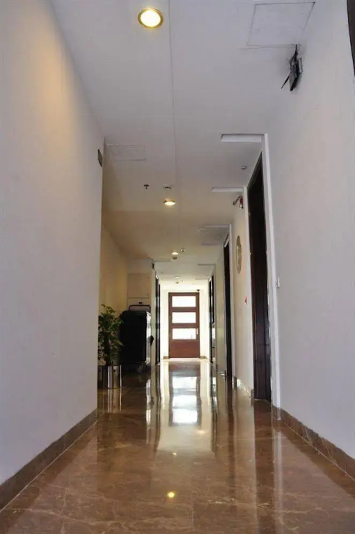 Hotel Blue Stone - Nehru Place - Général