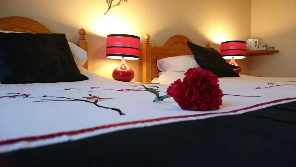 Mount Edward Lodge - Chambres