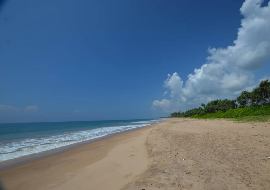 Beach & Waterfront