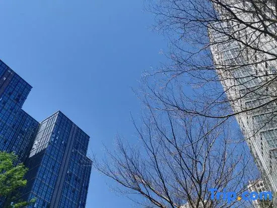 Sina International Apartment (Guangzhou Luogang Agile Plaza Shuixi Metro Station)