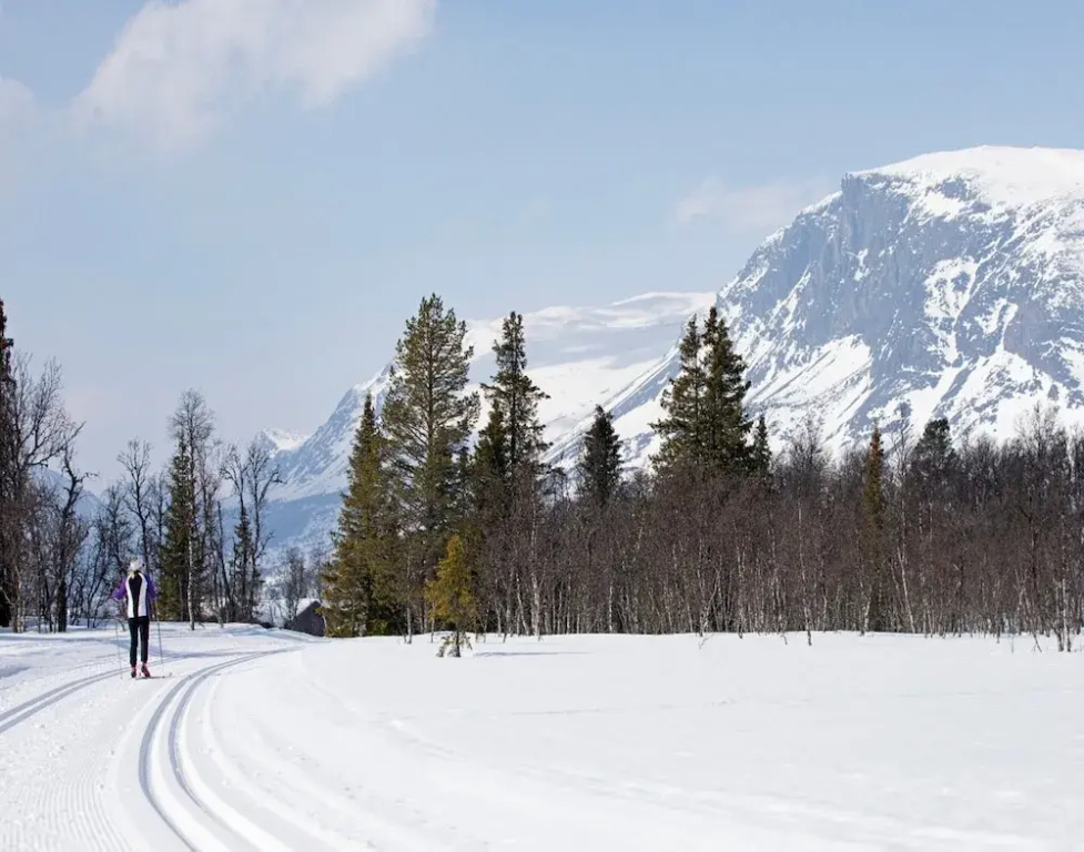 5 Person Holiday Home in Hemsedal