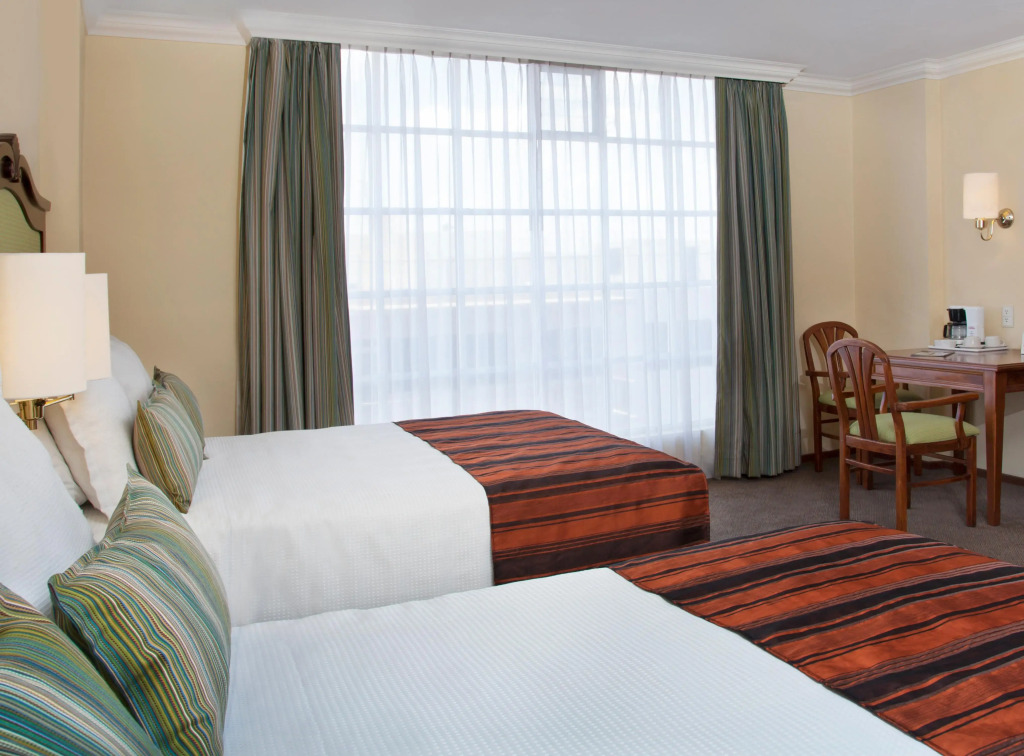 Francia Aguascalientes — фото 5