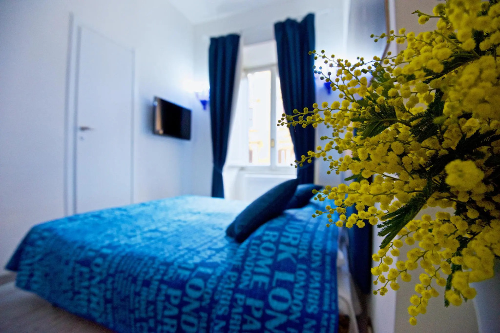 Standard Double room (full double bed)