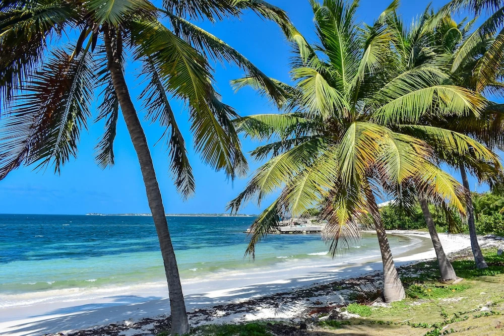 Beach & Waterfront