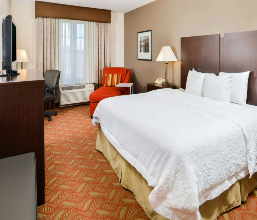 Hampton Inn & Suites San Francisco-Burlingame-Airport South - Général
